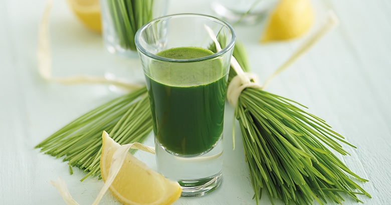 wheatgrass-shot.jpg